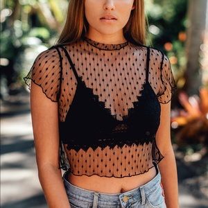 Polka Dot Sheer Crop Top